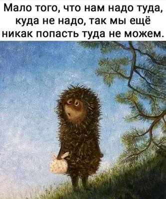 Не надо так, котаны : r/Pikabu