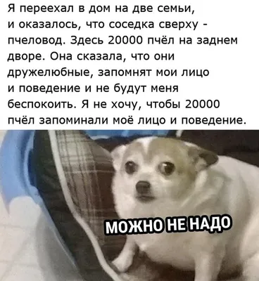 Можно не надо?) | Пикабу