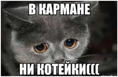 ГыГы Приколы - смешные мемы, видео и фото - выпуск №1291484