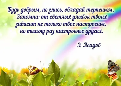 Американцев поразило фото кота из России по кличке Кефир - РИА Новости,  