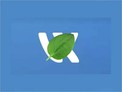 ВКонтакте» упал и лежит. Не работают сайт и приложение (ОБНОВЛЕНО)
