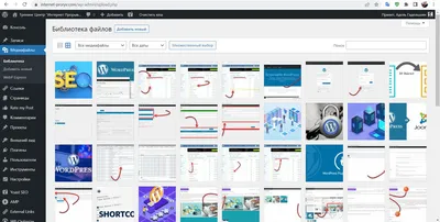 Поиск строк, которые не отображаются на странице Перевода строк - WPML