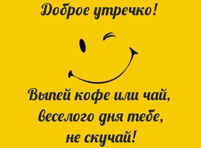 Печенье с предсказанием «Не скучай -отмечай!», 1 шт. x 6 г. (7868821) -  Купить по цене от  руб. | Интернет магазин 