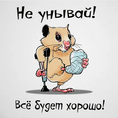 Не унывай родная, всё приходит в срок | Пикинезз | Дзен