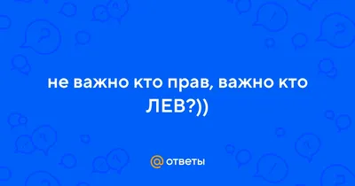 Фотосувениры Кружка прикол "Не важно кто прав"