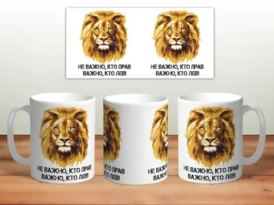 Кружка Контраст "Неважно кто прав, важно кто лев", 330 мл - купить по  доступным ценам в интернет-магазине OZON (377554662)