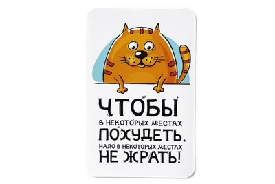 рисунки на тему на ночь не жрать: 15 тыс изображений найдено в  Яндекс.Картинках | Смешные плакаты, Иллюстрации кошек, Милые открытки