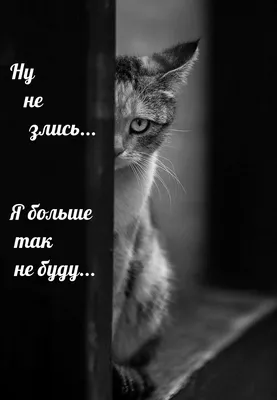 О чем говорит фраза:Ты только не обижайся,но... | ЭпоксиднаяФея (эпоксидная  смола) | Дзен