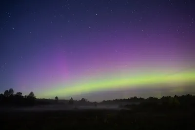 Фото Звезды планета Космос Небо Ночь