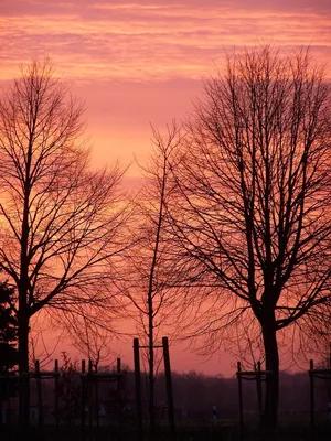 Бесплатные Красное небо / закат 2 стоковые фотографии | FreeImages