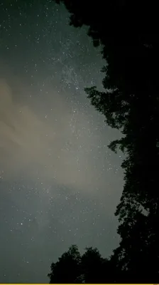 Wallpaper | Nature | photo | picture | night, the moon, небо звезды, trees,  grass