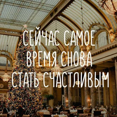 Неделя до нового года!🥂 Все нарядили елочку?🌲 В этот раз мы выбрали  изумрудно-зеленые шарики, символизирующие цвет покровителя года -… |  Instagram