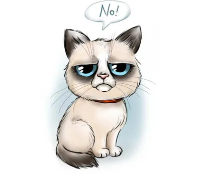 Недовольный кот кружка с кантом (цвет: белый + красный) | Все футболки  интернет магазин футболок. Дизайнерские футболки, футболки The Mountain,  Yakuza, Liquid Blue