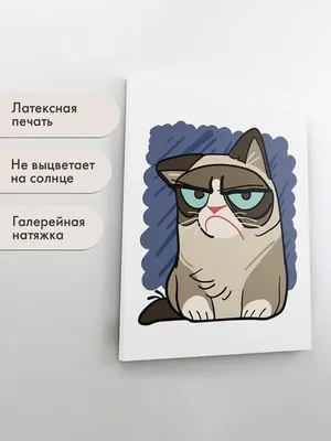 Порода Недовольного Кота | Дневник кота Васи | Дзен