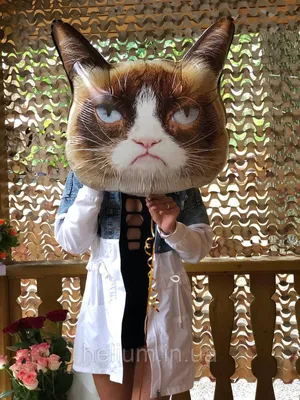 Интерьерная картина на холсте "Сердитый недовольный кот - мем" размер 22x30  см - купить по низкой цене в интернет-магазине OZON (536044265)