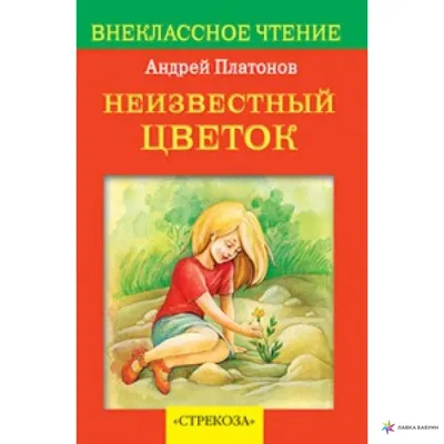 Неизвестный цветок - звезда, сияющая в темноте» — создано в Шедевруме