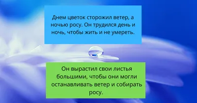 Смысл рассказа "Неизвестный цветок" Андрей Платонов | Какой Смысл