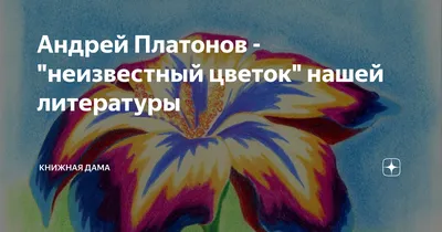 Неизвестный цветок. Платонов А. - купить с доставкой в Бишкеке -  -  товары для Вашей семьи