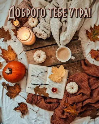 Осенние открытки "Доброго утра!" (437 шт.)