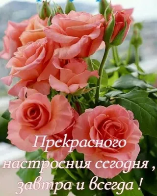 Необычные открытки с добрым утром