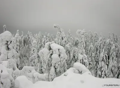 Зима январь картинки - 78 фото