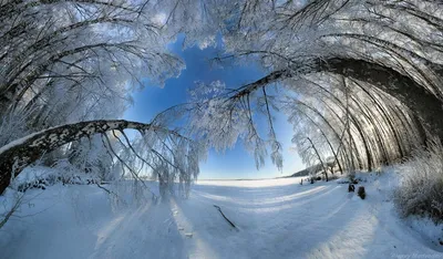 Необычные зимние пейзажи (57 фото) - 57 фото