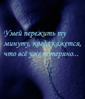 Подарок директору от коллектива: креативные, роскошные и памятные презенты