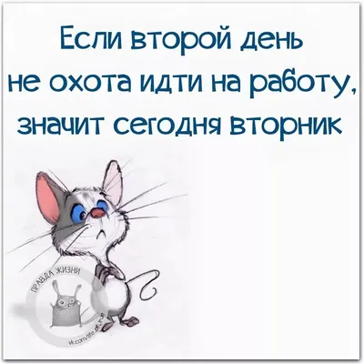 Почему не охота вставать с утра на работу, а на выходном наоборот? | Мой  Город | Дзен