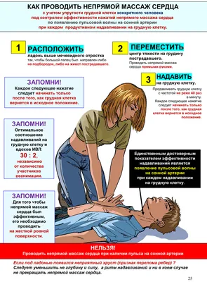 Автошкола: Сердце, бейся! Проверка пульса, дыхания, непрямой массаж сердца  – Автоцентр.ua