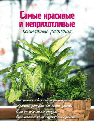 Комнатные растения: рейтинг лучших видов. — Ozon Клуб