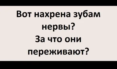 Поверхностные вены и нервы шеи плакат глянцевый А1/А2 купить по цене  производителя | Заказать оптом и в розницу с доставкой по России |  Интернет-магазин Vilmed