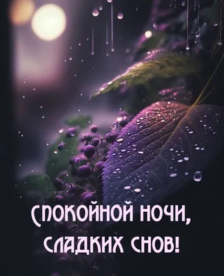 Картинки "Спокойной Ночи!" (3074 шт.)