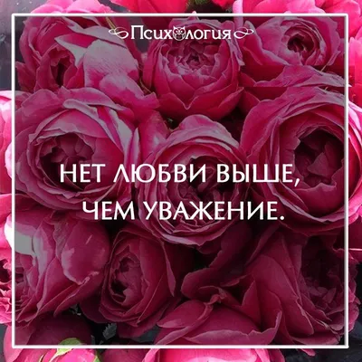 Ответы : Почему когда нет денег, нет любви?? Есть ли любовь без  денег? Помоему сейчас в основном смотрят на твой карман!