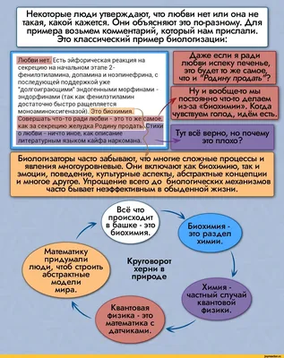 Некоторые люди утверждают, что любви нет или она не такая, какой кажется.  Они объясняют это по-разн / под катом еще :: Анахорет :: Смешные комиксы  (веб-комиксы с юмором и их переводы) /