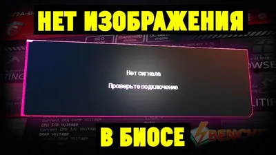 Что делать если компьютер и вентеляторы работают, но нет изображения на  мониторе (экране) - YouTube