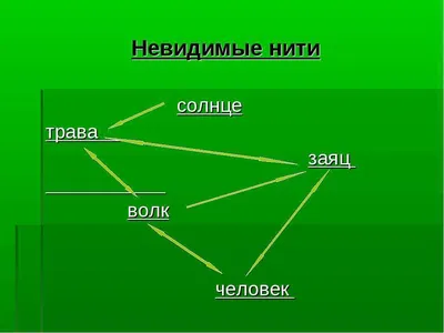 Невидимые нити в весеннем лесу в виде схемы 60 картинок