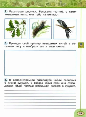 Стр. 50-51 Невидимые нити в весеннем лесу Плешаков Новицкая Окружающий мир.  Рабочая тетрадь 2 кл 2 ч Ответы