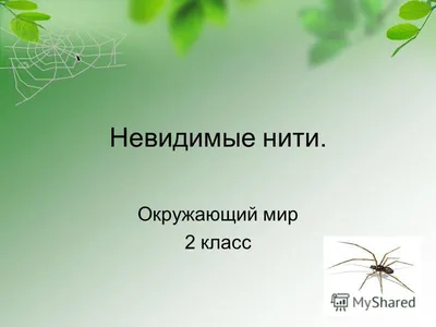 Невидимые нити в весеннем лесу. Окружающий мир, 2 класс - online  presentation