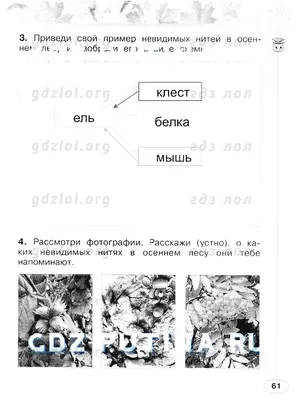 ГДЗ по окружающему миру 2 класс Плешаков, Новицкая (рабочая тетрадь) на ЛОЛ  КЕК