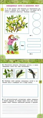 Презентация на тему: "Невидимые нити в осеннем лесу Урок окружающего мира 2  класс учитель Большова Наталья Валентиновна Ивановская область Шуйский  район Перемиловская МСОШ.". Скачать бесплатно и без регистрации.