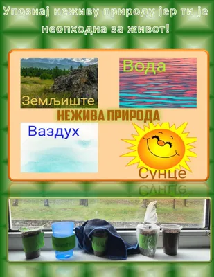 Жива и нежива природа interactive and downloadable worksheet. You can do  the exercises online o… | Printable preschool worksheets, School subjects,  Brain activities