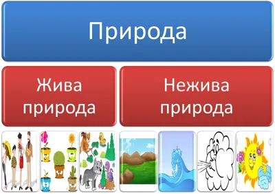 Жива и нежива природа worksheet | Live Worksheets