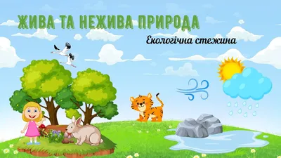 Жива и нежива природа interactive and downloadable worksheet. You can do  the exercises online o… | Kids math worksheets, Tracing worksheets  preschool, Teacher books