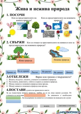 Жива и нежива природа interactive and downloadable worksheet. You can do  the exercises online or … | Kids math worksheets, Math activities  preschool, Classroom jobs