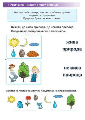 Жива і нежива природа worksheet | Live Worksheets