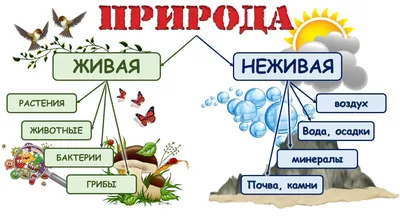 Расписания и задания 3 группа, 1 год обучения (Пашкина И.С.) | МАУДО  "Дворец творчества"