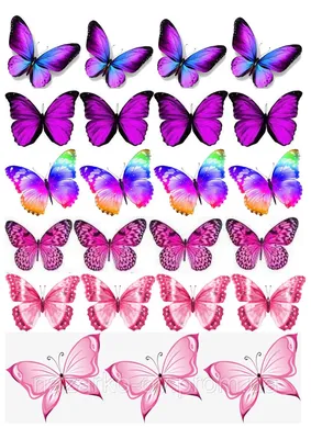 Розовые бабочки на прозрачном фоне - фото и картинки 