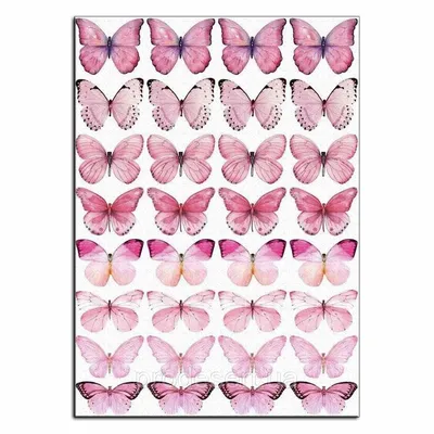 Розовые бабочки (58 фото)