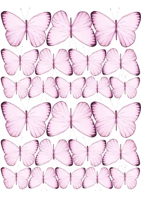 Розовые бабочки на белом фоне - фото и картинки: 56 штук