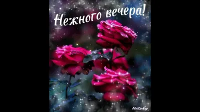 Алина Г. on X: "@t_krauze Танюша, спасибо!!! 🤗 Доброго вечера! Прекрасного  вечернего отдыха, душевности, спокойствия и тепла!🌹😘❤️  /nChhYOBdMb" / X